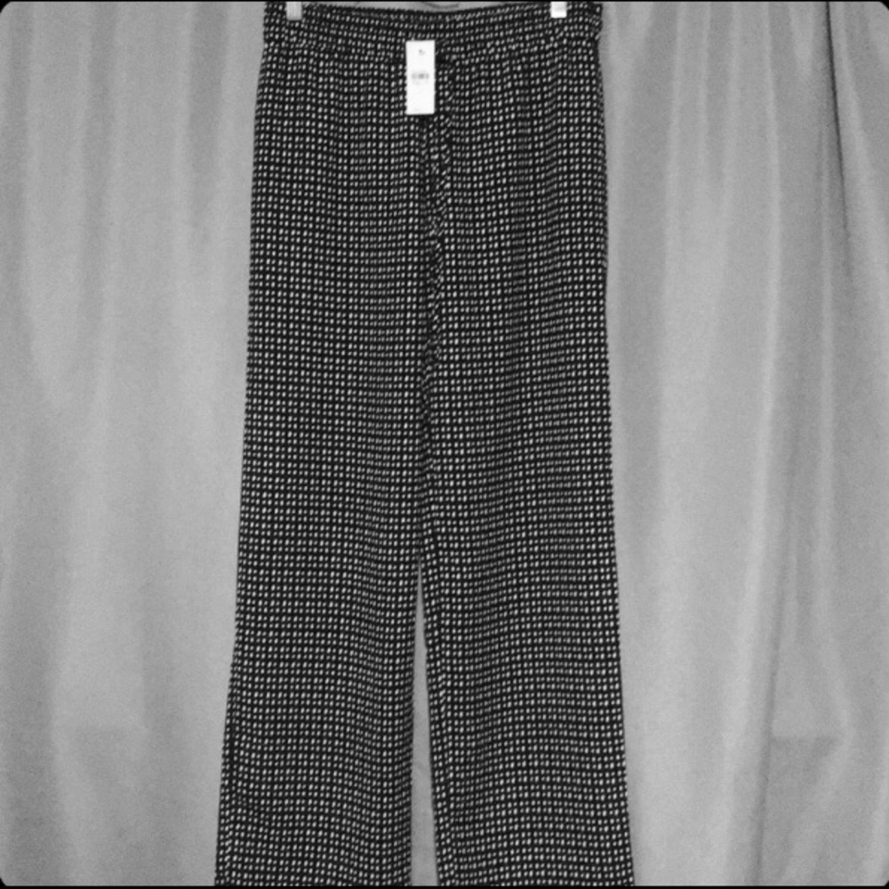Loft pants